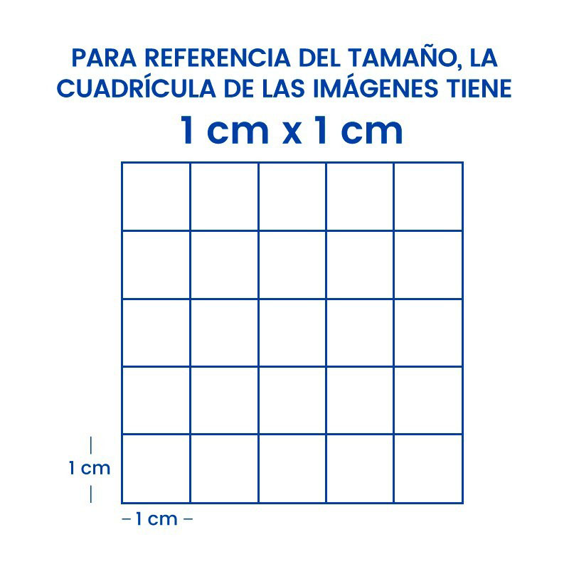 LA488-STA_1X1_583